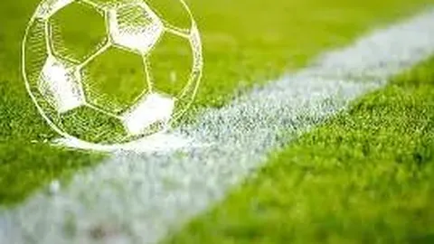 《本土教练崛起在即！马德兴曝足协新策，本土教练证明时刻，挑战与机遇并存》