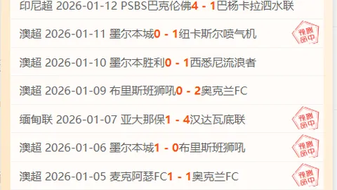 欧洲篮球联赛：艾菲斯战队英勇展现